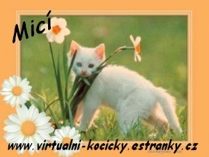 Obrázek “https://virtualni-kocicky.estranky.cz/archiv/iobrazek/31” nelze zobrazit, protože obsahuje chyby.